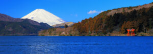 日本興志_総合建設__企業情報_富士山と鳥居と海